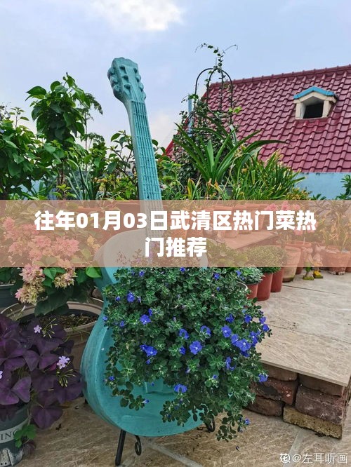 武清区热门菜推荐榜单（历年精选）