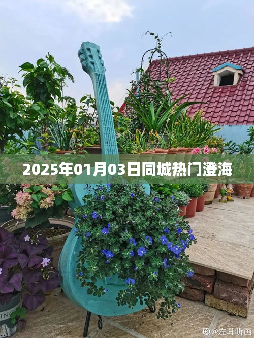 澄海同城热门活动，2025年1月3日不容错过！，简洁明了，突出了日期和澄海同城的相关信息，符合您的字数要求。