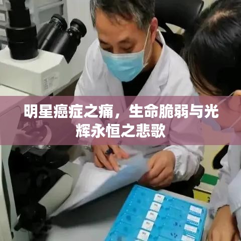 明星癌症之痛，生命脆弱与光辉永恒之悲歌