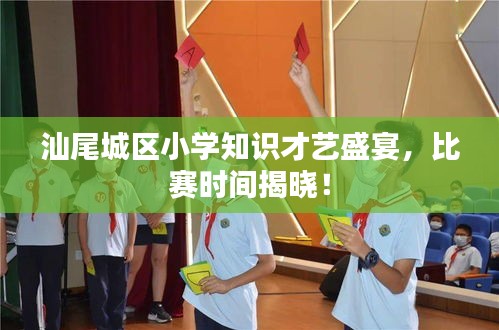 汕尾城区小学知识才艺盛宴，比赛时间揭晓！