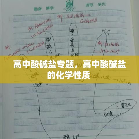 高中酸碱盐专题，高中酸碱盐的化学性质 