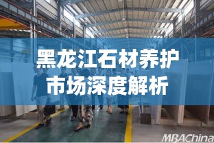 黑龙江石材养护市场深度解析