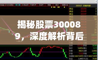 揭秘股票300089，深度解析背后的潜力与投资建议