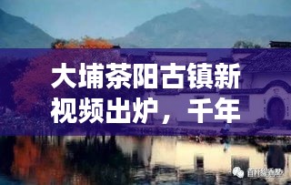 大埔茶阳古镇新视频出炉，千年韵味与活力一览无余