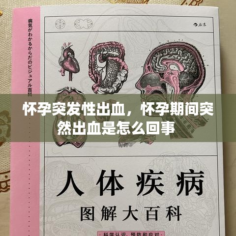 怀孕突发性出血，怀孕期间突然出血是怎么回事 