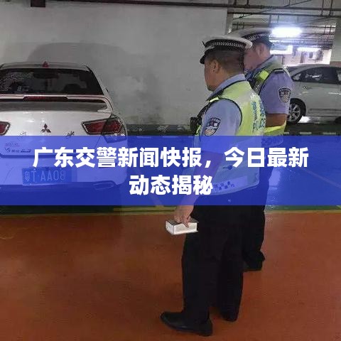 广东交警新闻快报，今日最新动态揭秘