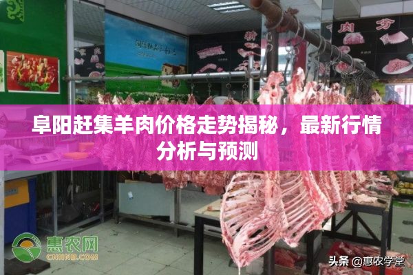 阜阳赶集羊肉价格走势揭秘，最新行情分析与预测