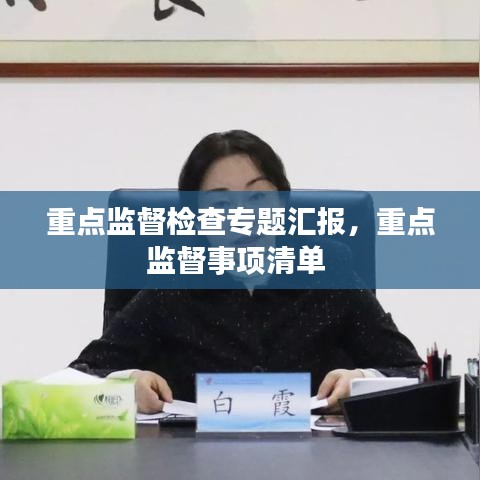 重点监督检查专题汇报，重点监督事项清单 