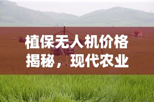 植保无人机价格揭秘，现代农业智能新宠应用分析