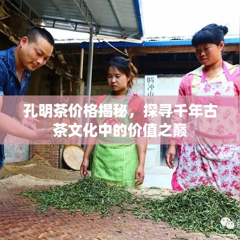 孔明茶价格揭秘，探寻千年古茶文化中的价值之巅