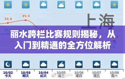 丽水跨栏比赛规则揭秘，从入门到精通的全方位解析