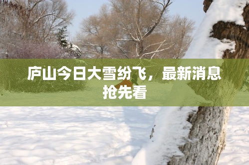 庐山今日大雪纷飞，最新消息抢先看