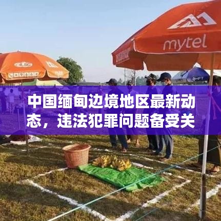 中国缅甸边境地区最新动态，违法犯罪问题备受关注