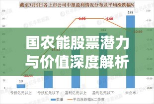 国农能股票潜力与价值深度解析