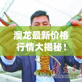 澳龙最新价格行情大揭秘！