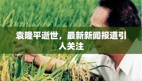 袁隆平逝世，最新新闻报道引人关注