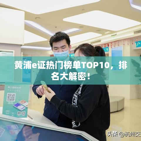 黄浦e证热门榜单TOP10，排名大解密！