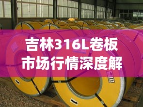 吉林316L卷板市场行情深度解析