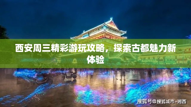 西安周三精彩游玩攻略，探索古都魅力新体验