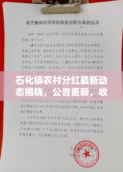 石化镇农村分红最新动态揭晓，公告更新，收益分配细节一网打尽