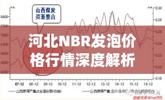 河北NBR发泡价格行情深度解析