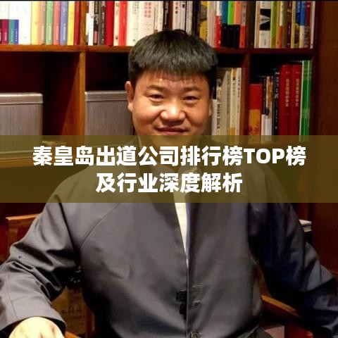 秦皇岛出道公司排行榜TOP榜及行业深度解析