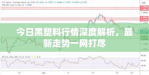 今日黑塑料行情深度解析，最新走势一网打尽