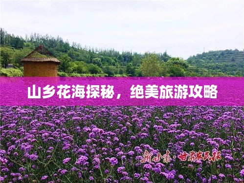 山乡花海探秘，绝美旅游攻略