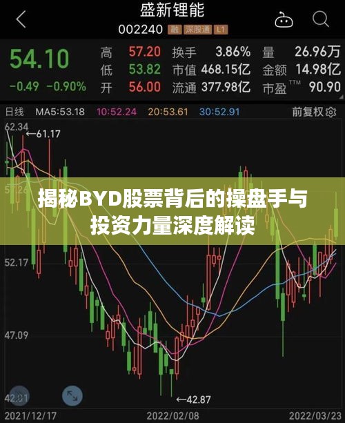 揭秘BYD股票背后的操盘手与投资力量深度解读