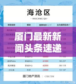 厦门最新新闻头条速递，1月28日资讯全掌握