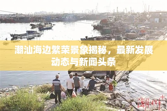 潮汕海边繁荣景象揭秘，最新发展动态与新闻头条