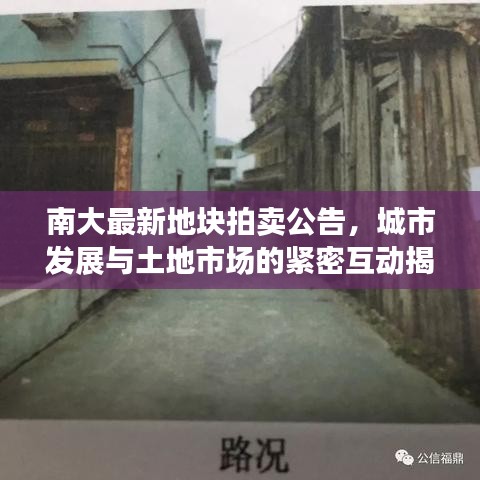 南大最新地块拍卖公告，城市发展与土地市场的紧密互动揭秘