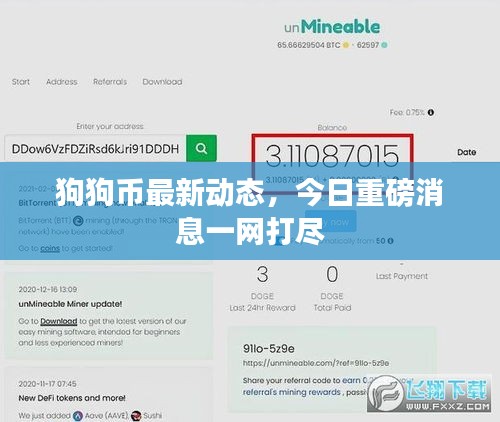 狗狗币最新动态，今日重磅消息一网打尽