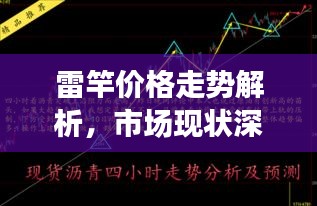 雷竿价格走势解析，市场现状深度剖析与未来趋势预测