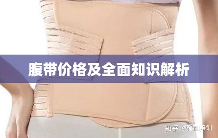 腹带价格及全面知识解析