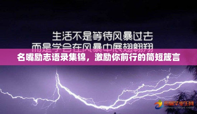 名嘴励志语录集锦，激励你前行的简短箴言