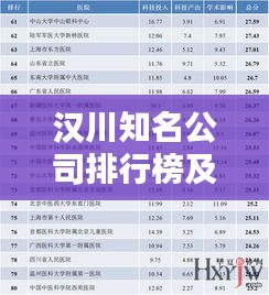 汉川知名公司排行榜及影响力分析