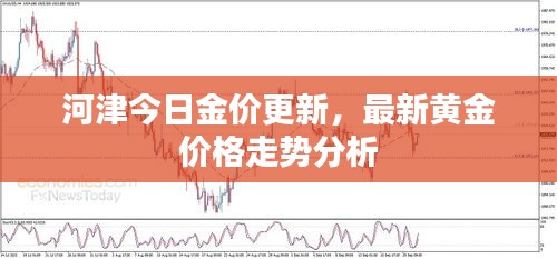 河津今日金价更新，最新黄金价格走势分析