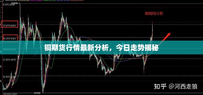 2025年2月14日 第5页