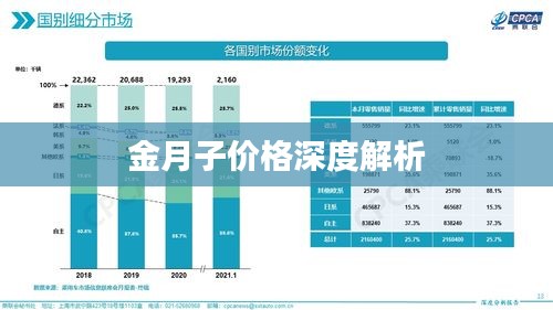 金月子价格深度解析