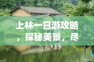 上林一日游攻略，探秘美景，尽享精彩之旅！