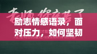 励志情感语录，面对压力，如何坚韧前行，拥抱生活挑战