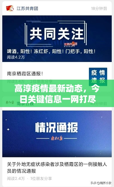 高淳疫情最新动态，今日关键信息一网打尽