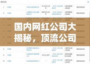 国内网红公司大揭秘，顶流公司排名榜单！