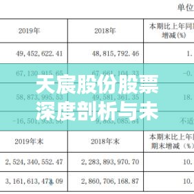 天宸股份股票深度剖析与未来前景展望