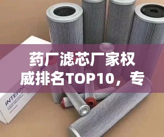 药厂滤芯厂家权威排名TOP10，专业品质值得信赖！