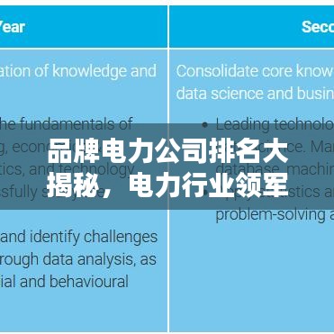 品牌电力公司排名大揭秘，电力行业领军者榜单！