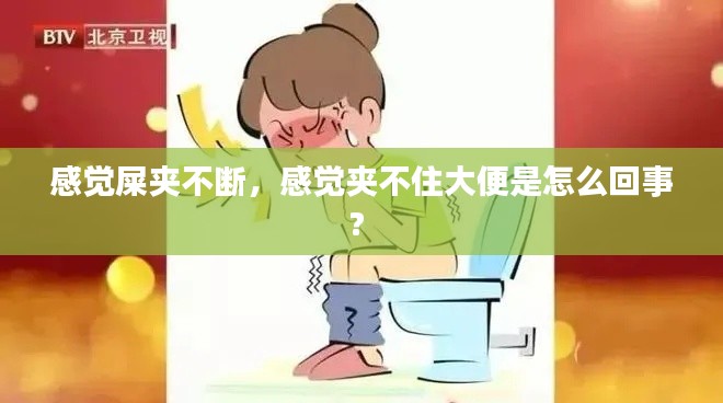 感觉屎夹不断，感觉夹不住大便是怎么回事? 