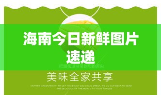 海南今日新鲜图片速递