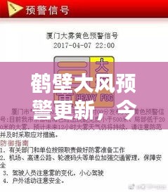 鹤壁大风预警更新，今日最新信息及影响深度解析